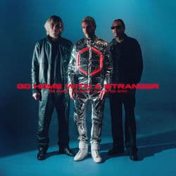 Go Home With A Stranger