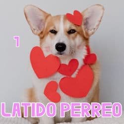 Que Tire Pa Lante