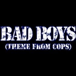 Bad Boys (Theme From "Cops")