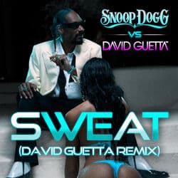 Sweat (Snoop Dogg vs David Guetta Remix)