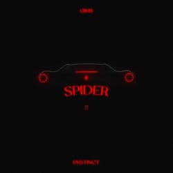 SPIDER