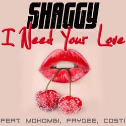 Habibi Love (I Need Your Love) (feat. Mohombi, Faydee & Costi)